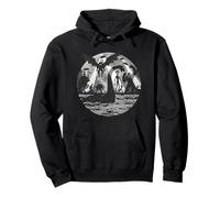 Bigfoot Alien Loch Ness Monstruo Criaturas Míticas Ovnis Sudadera con Capucha