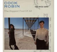 Biggest fool of all (1987) / Vinyl Maxi Single [Vinyl 12'']
