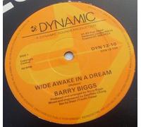 Biggs, Barry - Wide Awake in a Dream [7 [Vinyl LP]