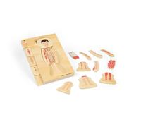 Bigjigs Toys Puzzle con anatomia maschile, set da 26 pezzi di (Importación USA)