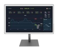 Bigme B251 E-Paper - Monitor a color de 25,3 pulgadas, pantalla E-Ink, control de voz, actualización xRapid, puerto HDMI/DP/Type-C, para ojos, iluminación ajustable