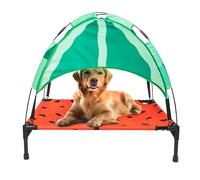 BigMouth Inc. Cama elevada Sandía para perros grandes
