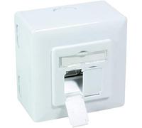 BIGtec - Caja de red con conector de cables blanco Signalweiß 0 - universal Netzwerkdose