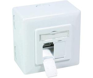BIGtec Enchufe de red CAT6a LAN, caja de montaje universal empotrada, conducto para cable de red CAT 7, CAT 6, CAT 5, 2 conectores RJ45, color blanco de señal