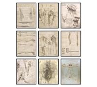 BigWig Prints Da Vinci - Póster de anatomía humana, impresiones de Leonardo Da Vinci, póster de anatomía vintage, arte de pared gótico, póster renacentista, impresión de hombre de Vitruvio,