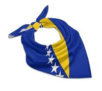 BiH Flag Soft Imitated Silk Neck Scarf, Multi-Purpose Head Hair Wrap Wrist Handkerchief Bag Decor Kerchief For Women Daily Wear(18"x18")
