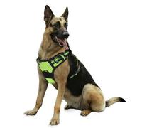 Bihotzak Arnes Perro Pequeño Mediano Grande sin Tirones Accesorios para Perros Ajustable Transpirable Reflectante con Cierres de Seguridad (Verde, M)