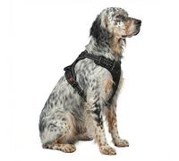 Bihotzak Arnés Perro Pequeño Mediano Grande sin Tirones Ajustable Transpirable Reflectante con Cierres de Seguridad Negro M