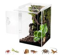 Biigdan Terrario, 360° Terrario Reptiles Transparente - Nsectos Acrílico, Caja de Cría para Araña Saltadora, Gecko, Lagarto Dragón Barbudo, Caracol, Insectos Palo, Rana Arbórea