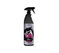 BIKE A FOOL - Bike Gloss | Abrillantador Profesional para Bicicletas 750 ml | Acabado Profesional