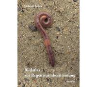 Bildatlas der Regenwurmbestimmung: Mit einem Kompendium der Regenwurmfauna des Nordostdeutschen Tieflands