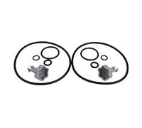 BildeeMait Piezas de sellado de bomba de filtro de piscina para Intex 58604 56638, juego completo de repuesto con válvulas y anillos