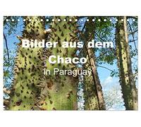 Bilder aus dem Chaco in Paraguay (Tischkalender 2026 DIN A5 quer), CALVENDO Monatskalender: Vor mehr als 80 Jahren besiedelten die Mennoniten dieses ... die größten Viehfarmen Paraguays auf