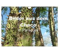 Bilder aus dem Chaco in Paraguay (Wandkalender 2026 DIN A4 quer), CALVENDO Monatskalender: Vor mehr als 80 Jahren besiedelten die Mennoniten dieses ... die größten Viehfarmen Paraguays auf
