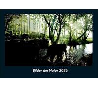 Bilder der Natur 2026 Fotokalender DIN A4: Monatskalender mit Bild-Motiven aus Fauna und Flora, Natur, Blumen und Pflanzen