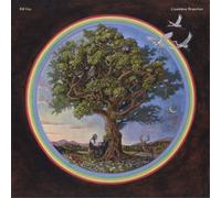 Bill Fay Countless Branches (Vinyl) 12" Album (Importación USA)