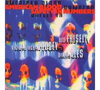 Bill Frisell, guitares, ukulele et banjo - American Blood Safety in Numbers