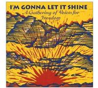 Bill Harley - I'm Gonna Let It Shine