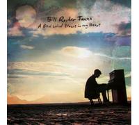 Bill Ryder-Jones A Bad Wind Blows in My Heart (Vinyl) (Importación USA)