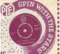 BILL SHEPHERD ORCHESTRA - BILL SHEPHERD ORCHESTRA - WHAT A DIFFERENCE A DAY MADE - 7 inch vinyl / 45