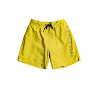 Billabong All Day Heritage Layback - Boardshorts para Chicos 8-16