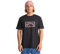 Billabong Camiseta para Hombre Arch Frame SS – Paquete de 1