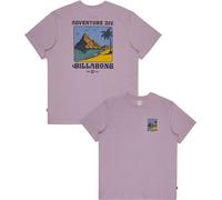 Billabong - Camisetas - Post Cards Adiv Premium SS Tee Purple Ash - Talla L - Púrpura Púrpura L