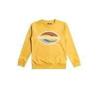 Billabong Foundation - Sudadera para Chicos 8-16 años