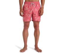 Billabong Vacay LB Pantalones Cortos, Hombres