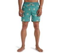 Billabong Vacay LB Pantalones Cortos, Hombres