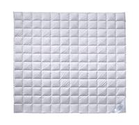 Billerbeck Super-Edition Superlight 200 x 200 cm