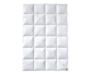 Billerbeck Techo Cartuchos de plumón/Pluma, Blanco, 155 x 220 cm