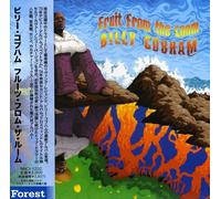 Billy Cobham - Fruit from the Loom