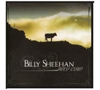 Billy Sheehan - Holy Cow
