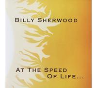 Billy Sherwood - At The Speed Of Life...