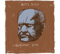 Billy zach – A momentary bliss – Vinilo