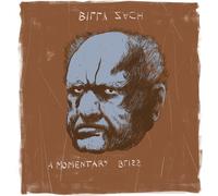 Billy zach – A momentary bliss – Vinilo