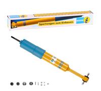 Bilstein 24-021319 amortiguador
