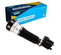 BILSTEIN 44-051518 Amortiguador neumático Eje delantero, izquierda Compatible con MERCEDES-BENZ Clase S Sedán W220
