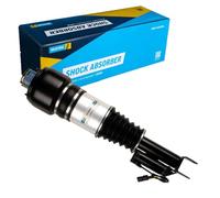 BILSTEIN 44-104542 Amortiguador neumático Eje delantero, derecha Compatible con MERCEDES-BENZ CLS C219