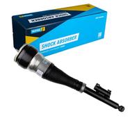 Bilstein 44 - 239992 muelles