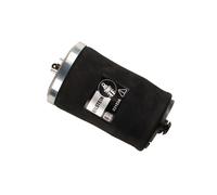 Bilstein B3 Muelle neumático 40-221601 Parte posterior izquierda para Bmw X5