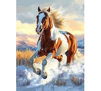 Bimkole 5D Diamond Painting Kit Bricolaje Arte Caballo, Animal Pintura De Arte Pintura Diamantes Kits Estampados De Punto De Cruz Diamantes de Imitación Decoración de Pared 30x40 cm
