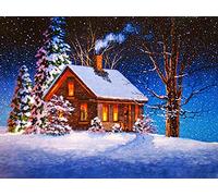 Bimkole 5d Diamond Painting Kit Bricolaje Arte Cabaña De Nieve, Árbol De Invierno Pintura Diamantes Kits Estampados De Punto De Cruz Diamantes de Imitación Decoración de Pared, (30x40 cm)