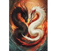 Bimkole 5D Diamond Painting Kit Bricolaje Arte Dragón Blanco Y Negro, Animal Pintura De Arte Pintura Diamantes Kits Estampados De Punto De Cruz Diamantes de Imitación Decoración de Pared 30x40 cm