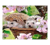 Bimkole 5d Diamond Painting Kit Bricolaje Arte Erizo, Pintura Del Arte De La Hoja De La Flor Pintura Diamantes Kits Estampados De Punto De Cruz Diamantes de Imitación Decoración de Pared, (30x40 cm)