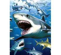 Bimkole 5d Diamond Painting Kit Bricolaje Arte Gran Tiburon, Animal Pintura De Arte Pintura Diamantes Kits Estampados De Punto De Cruz Diamantes de Imitación Decoración de Pared 30X40 cm