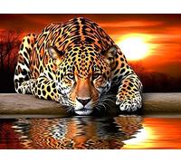 Bimkole 5d Diamond Painting Kit Bricolaje Arte Leopardo Y Tigre, Animal Puesta De Sol Pintura De Arte Diamantes Kits Estampados De Punto De Cruz Diamantes de Imitación Decoración de Pared 30X40 cm