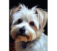 Bimkole 5D Diamond Painting Kit Bricolaje Arte Perro Blanco, Animal Pintura De Arte Pintura Diamantes Kits Estampados De Punto De Cruz Diamantes de Imitación Decoración de Pared 30X40cm