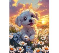 Bimkole 5D Diamond Painting Kit Bricolaje Arte Perro, Margarita Pintura De Arte Pintura Diamantes Kits Estampados De Punto De Cruz Diamantes de Imitación Decoración de Pared 30x40 cm